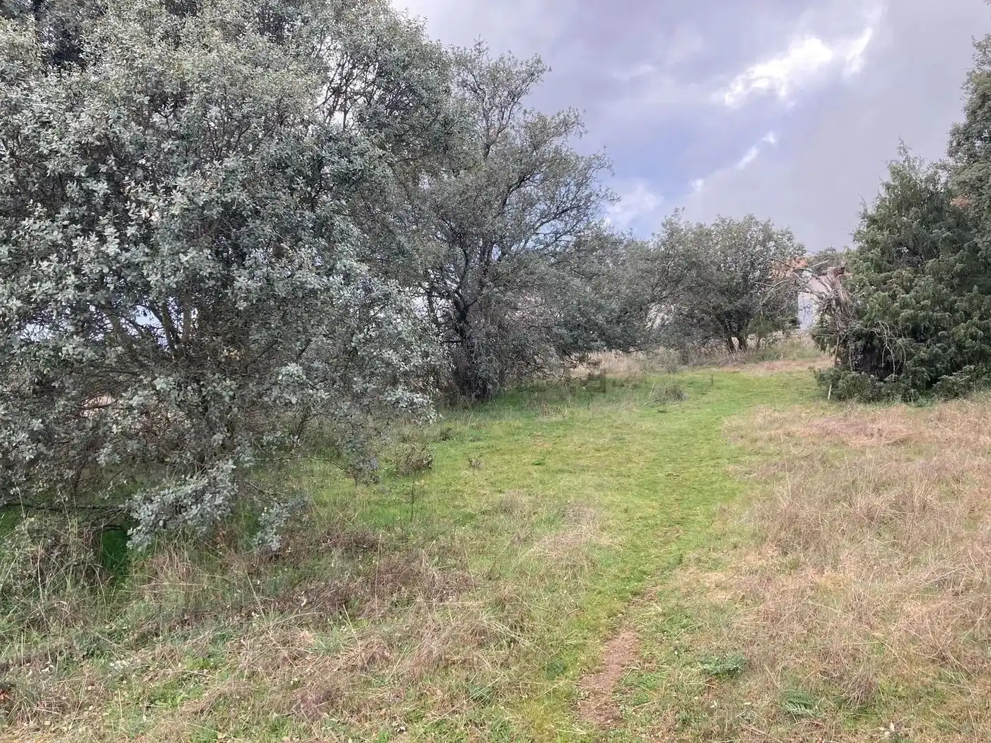 Residential land for sale in Urbanización Sotogrande 3, imagen 12