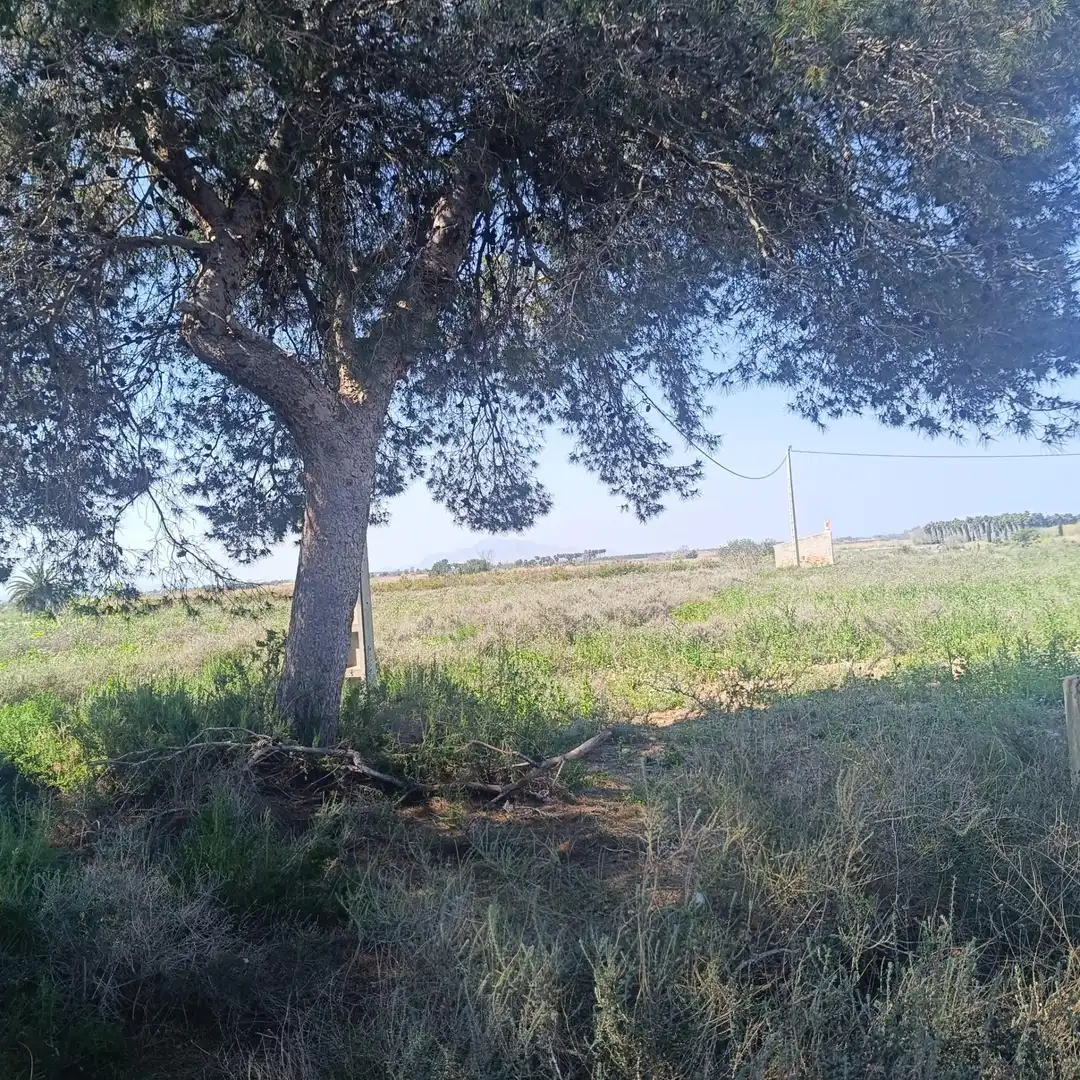 Terrain rustique à vendre à La Marina, imagen 25