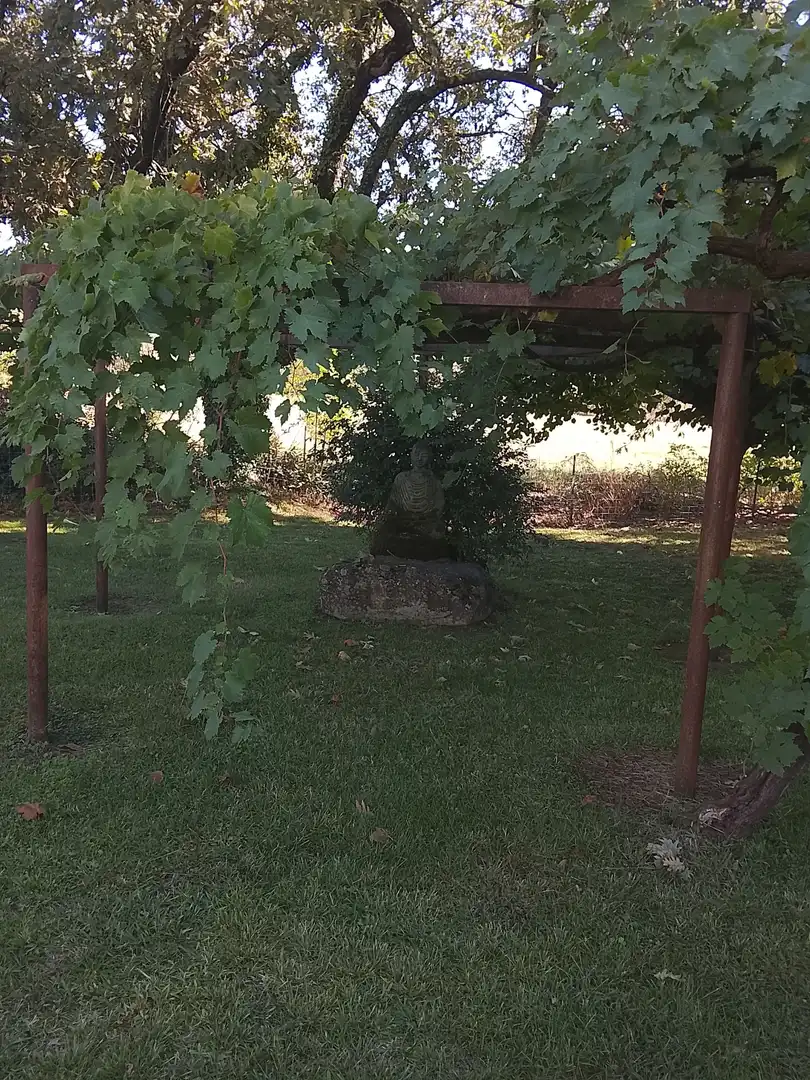 Haus mit Garten zum Verkauf in Madrigal de la Vera, imagen 119
