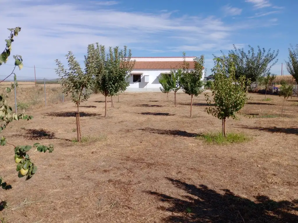 Xalet amb piscina en venda a Don Benito, imagen 12
