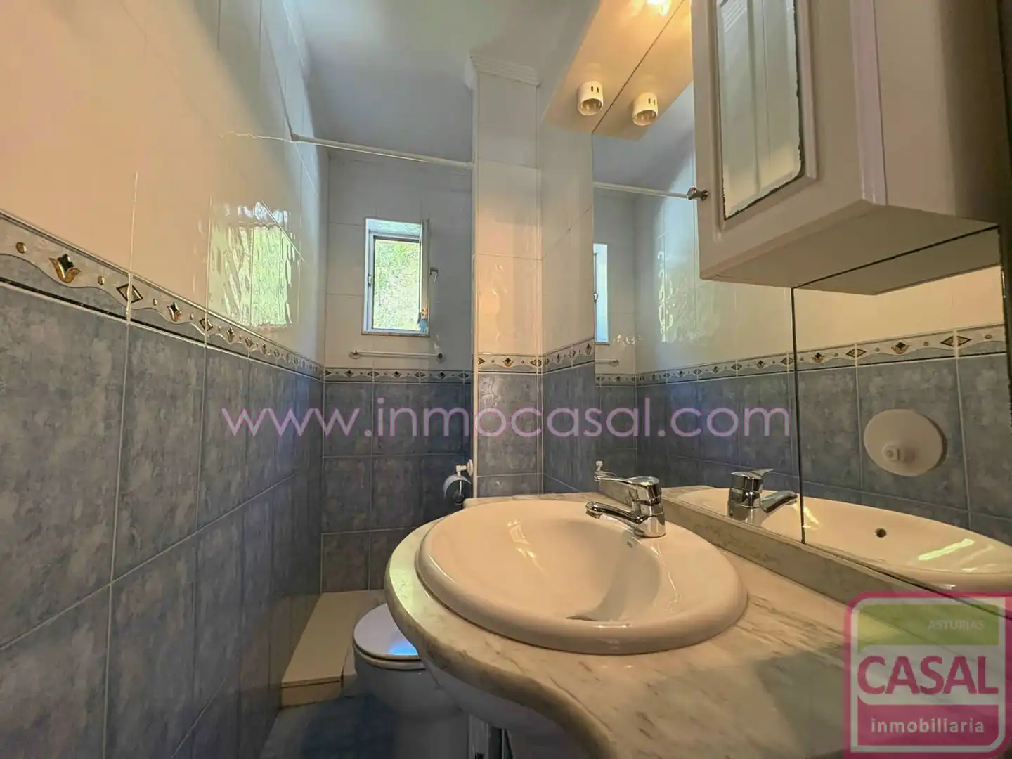 Bathroom of Flat for sale in Mieres (Asturias)  with Heating, Storage room and Furnished