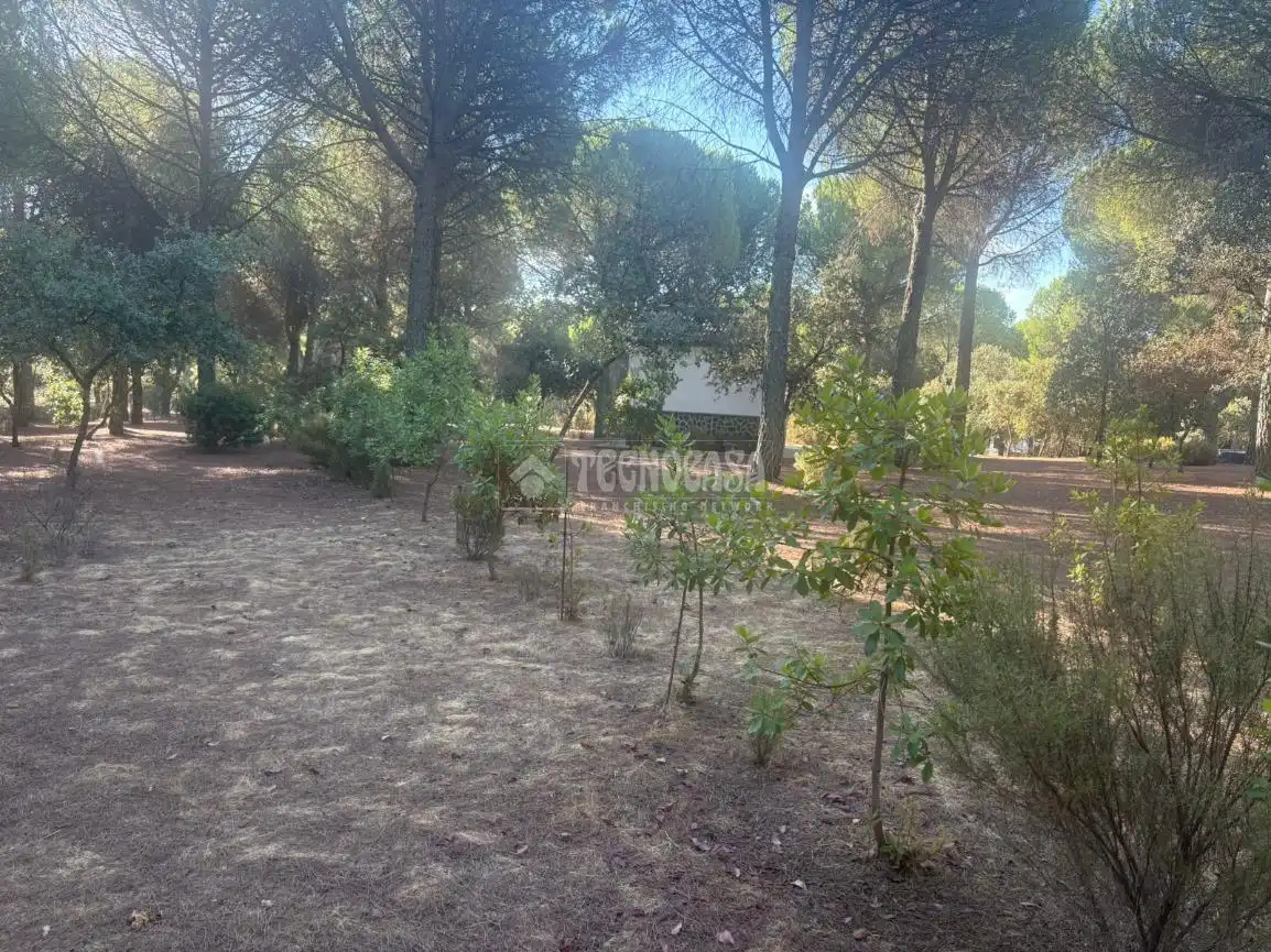 Casa rústica amb jardí en venda a Andújar, imagen 8