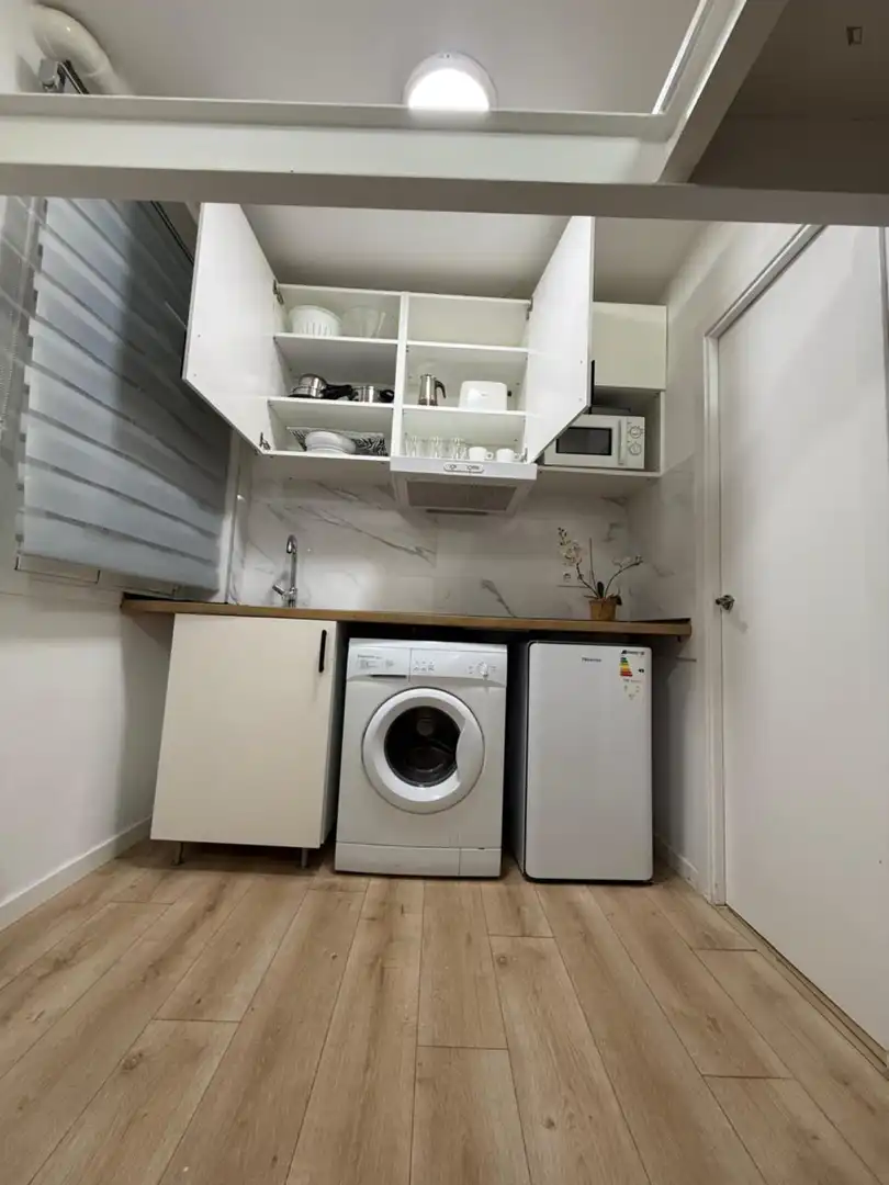 Estudio en alquiler en Centro, imagen 9