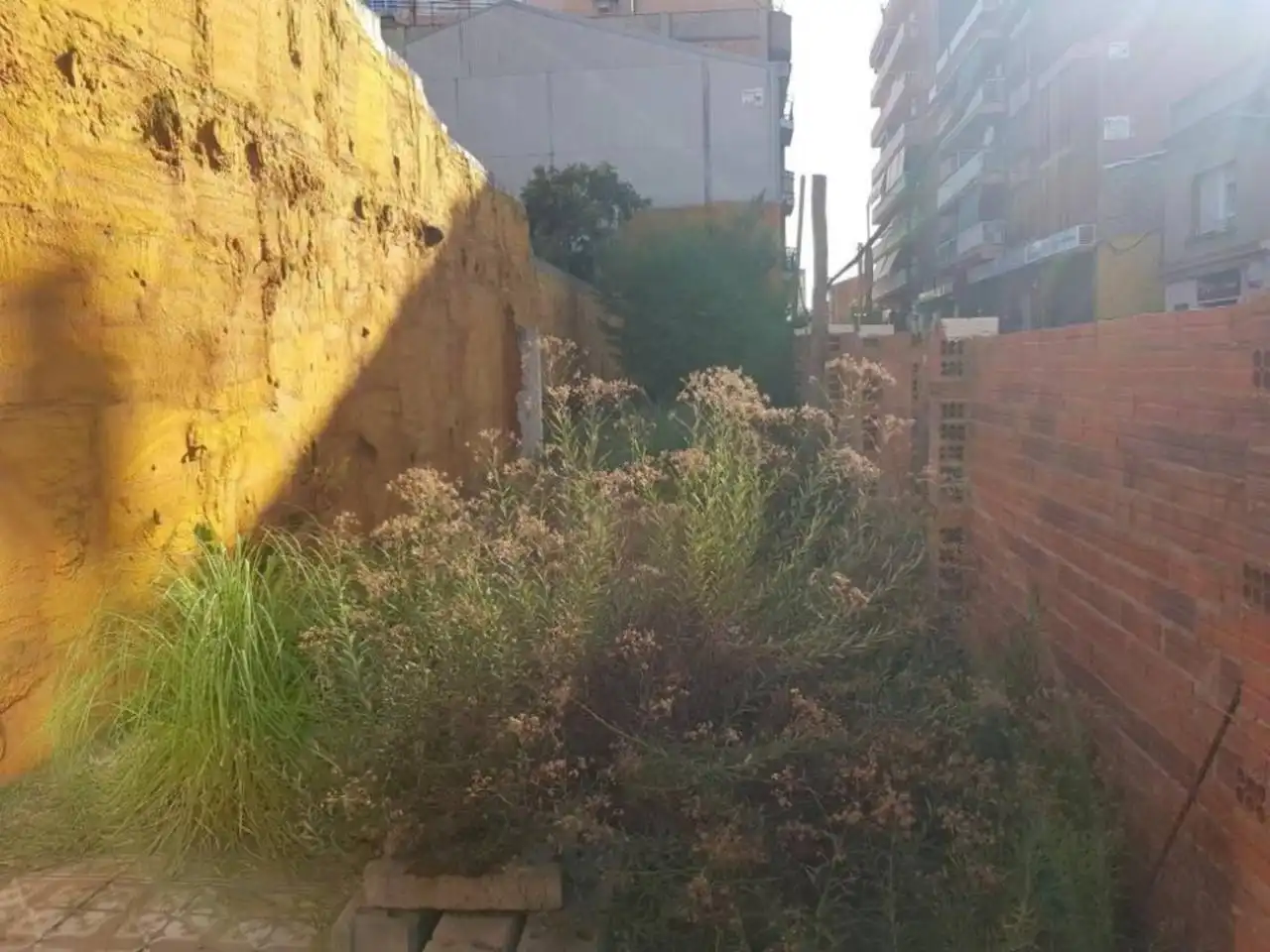Rural land for sale in Avenida Barberà, imagen 3