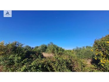 Industrial land for sale in Les Boqueres - Santa Quiteria