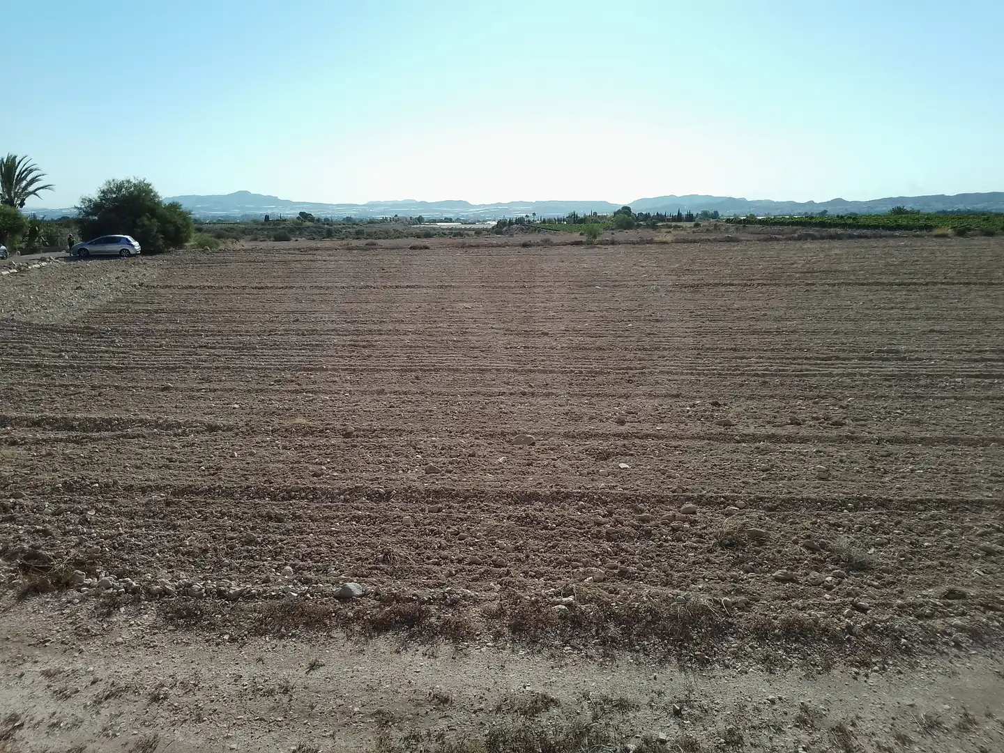 Terrain rustique à vendre à Novelda, imagen 3