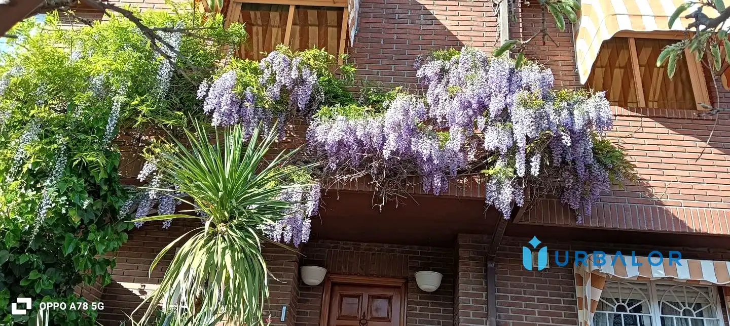 Vista exterior de Casa adosada en venta en Alcorcón con Calefacción, Jardín privado y Parquet