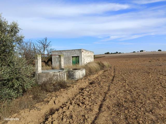 Finca rústica en Venta en Villanueva Golf