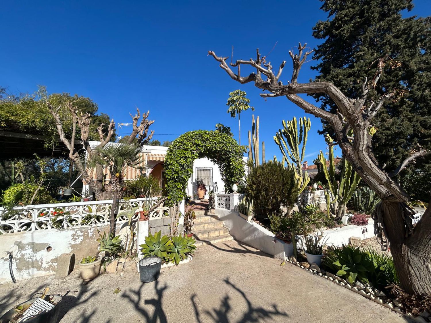Jardí de Finca rústica en venda en Crevillent amb Aire condicionat, Calefacció i Jardí privat