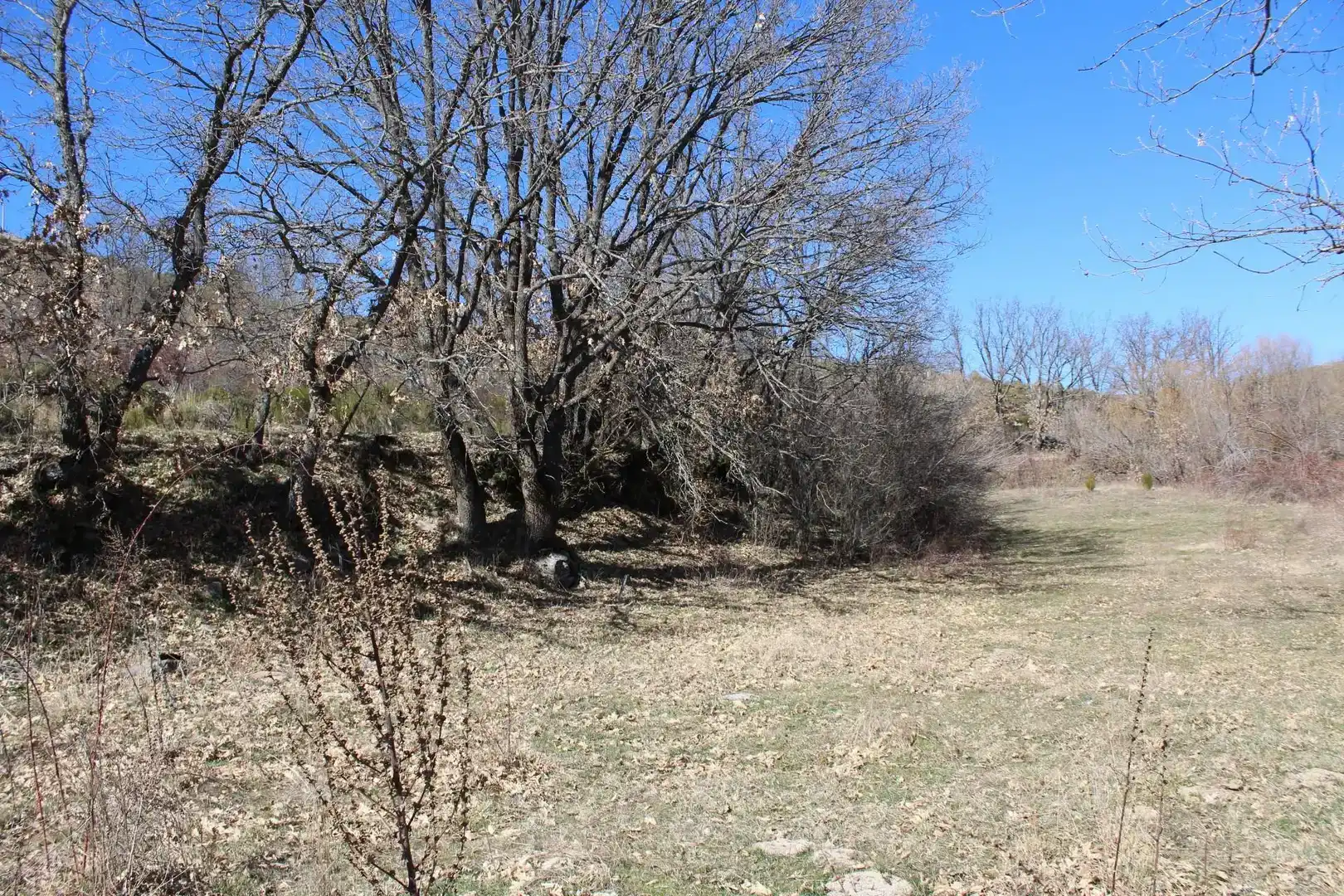 Land for sale in Peguerinos