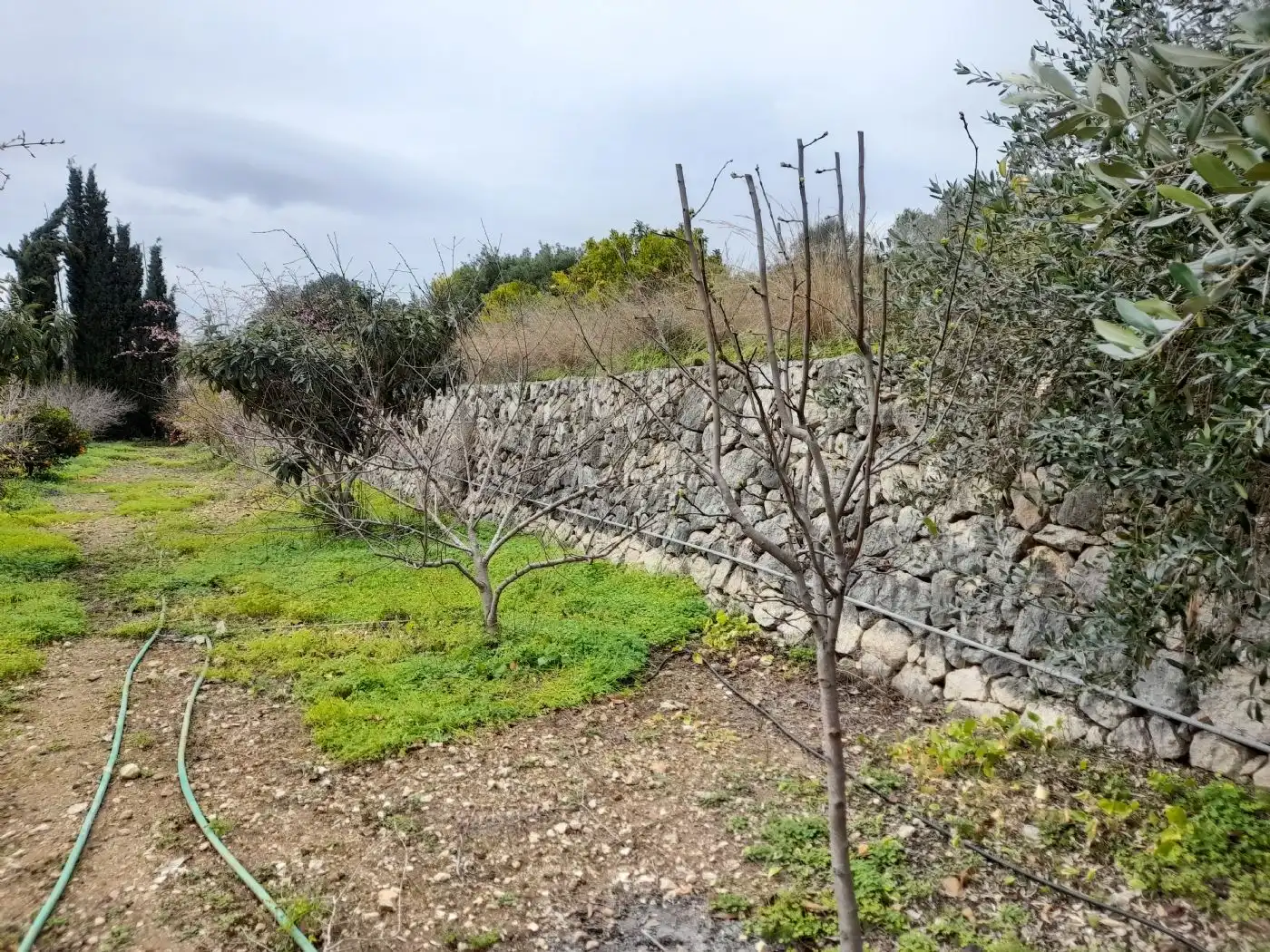 Maison rustique avec piscine à vendre à Carrer de Sant Roc 51, imagen 13