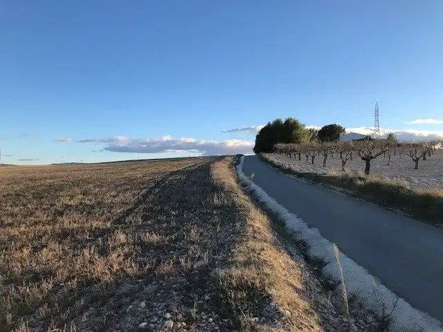 Terreno rustico in vendita a Almansa