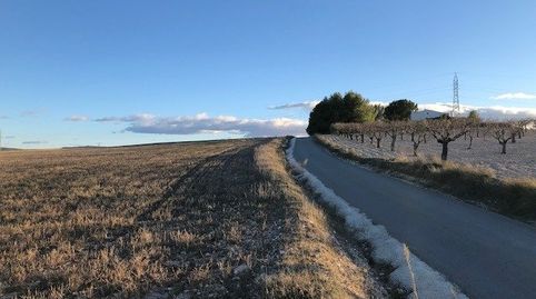 TERRENO EN LA ZONA DE CANTOBLANCO A ESCASOS KMS .DEL PUEBLO