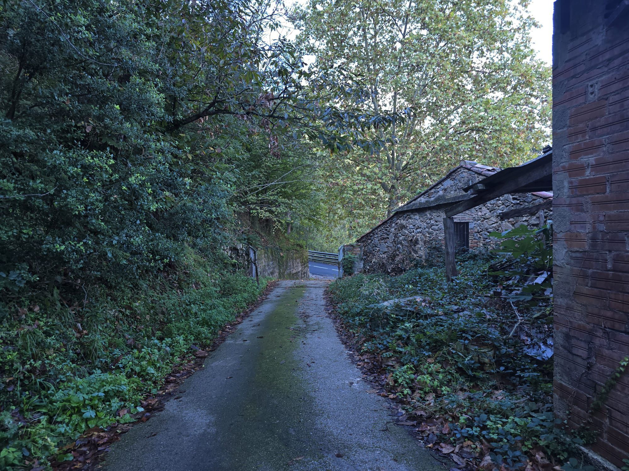 Exterior view of House or chalet for sale in Osor