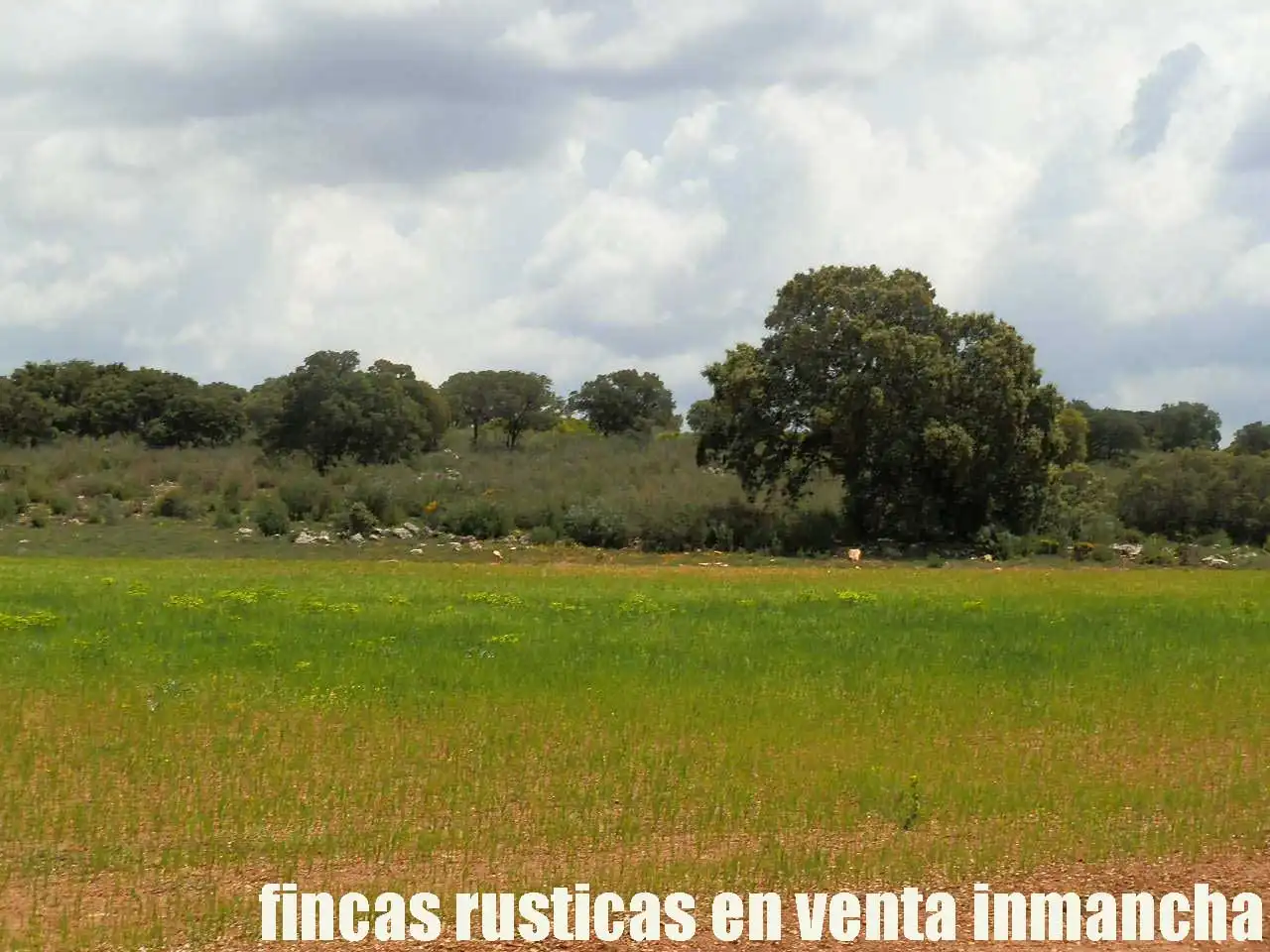 Terreno rustico in vendita a Ruidera, imagen 18