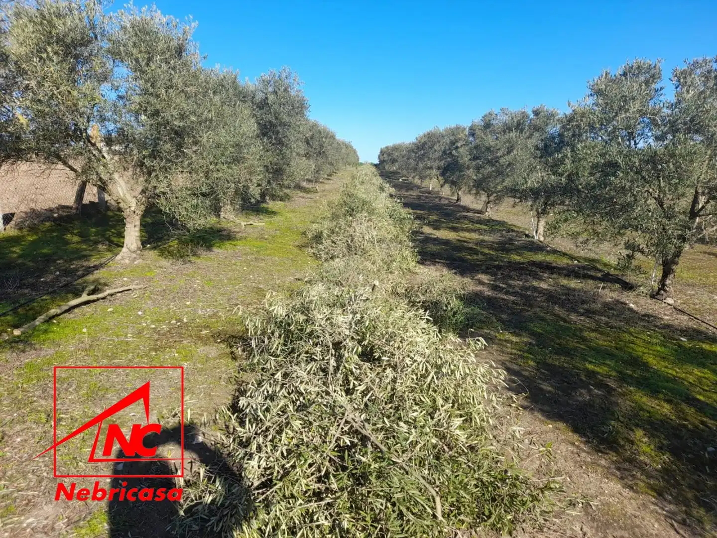 Terreni e lotti in vendita a Lebrija, imagen 14