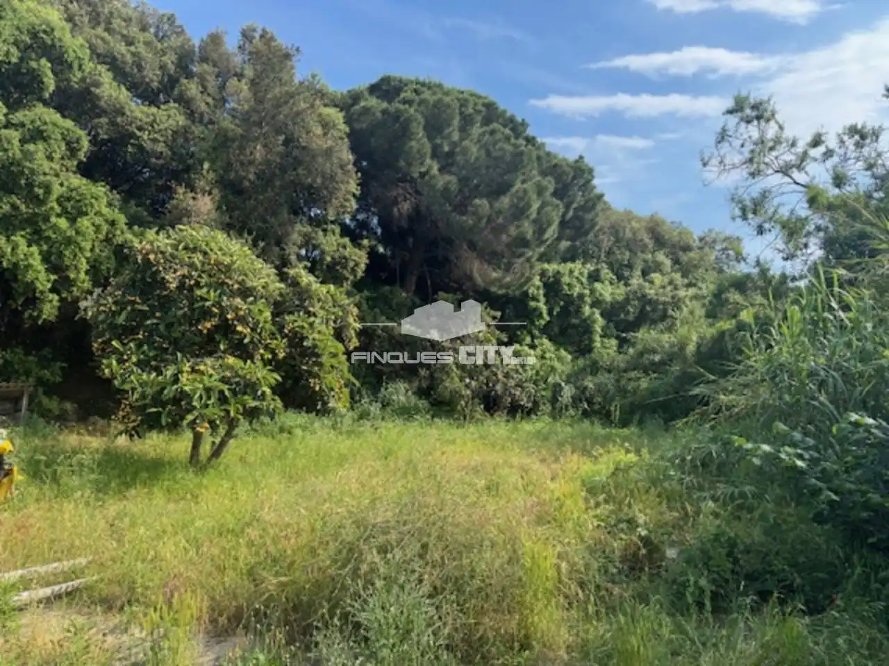 Grundstücke zum Verkauf in Calle Orsevinya, 1, Calella