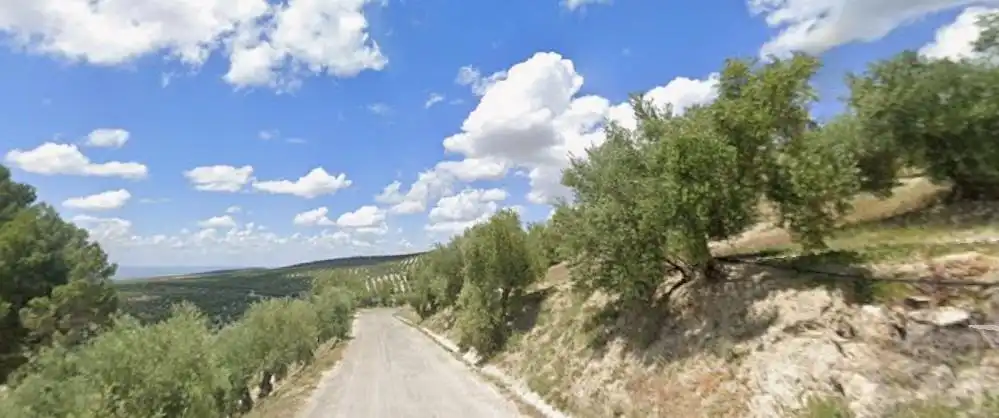 Terreni e lotti in vendita a Quesada