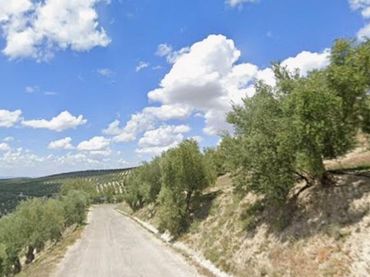 Rural land for sale in Quesada