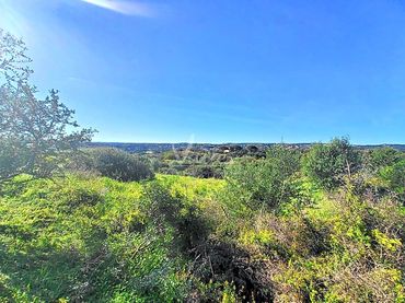 Terrenos y solares en venta en Lavanda En La Reserva De Sotogrande
