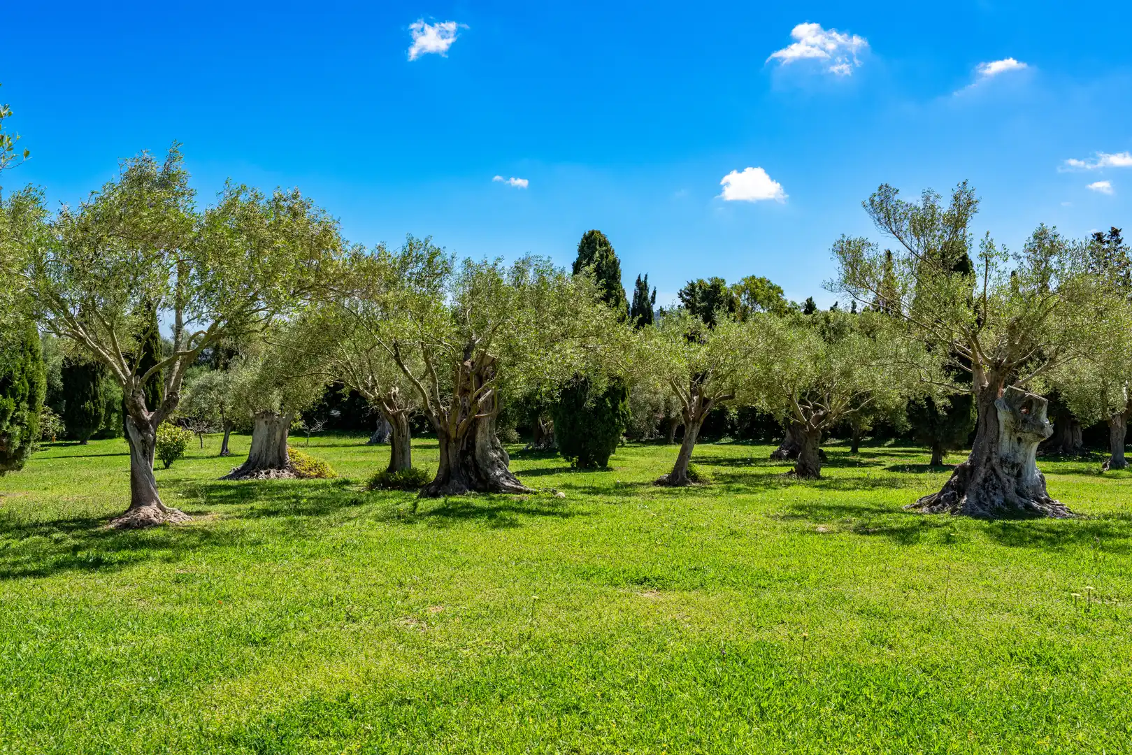 Jardí de Finca rústica en venda en Capdepera amb Aire condicionat, Calefacció i Terrassa