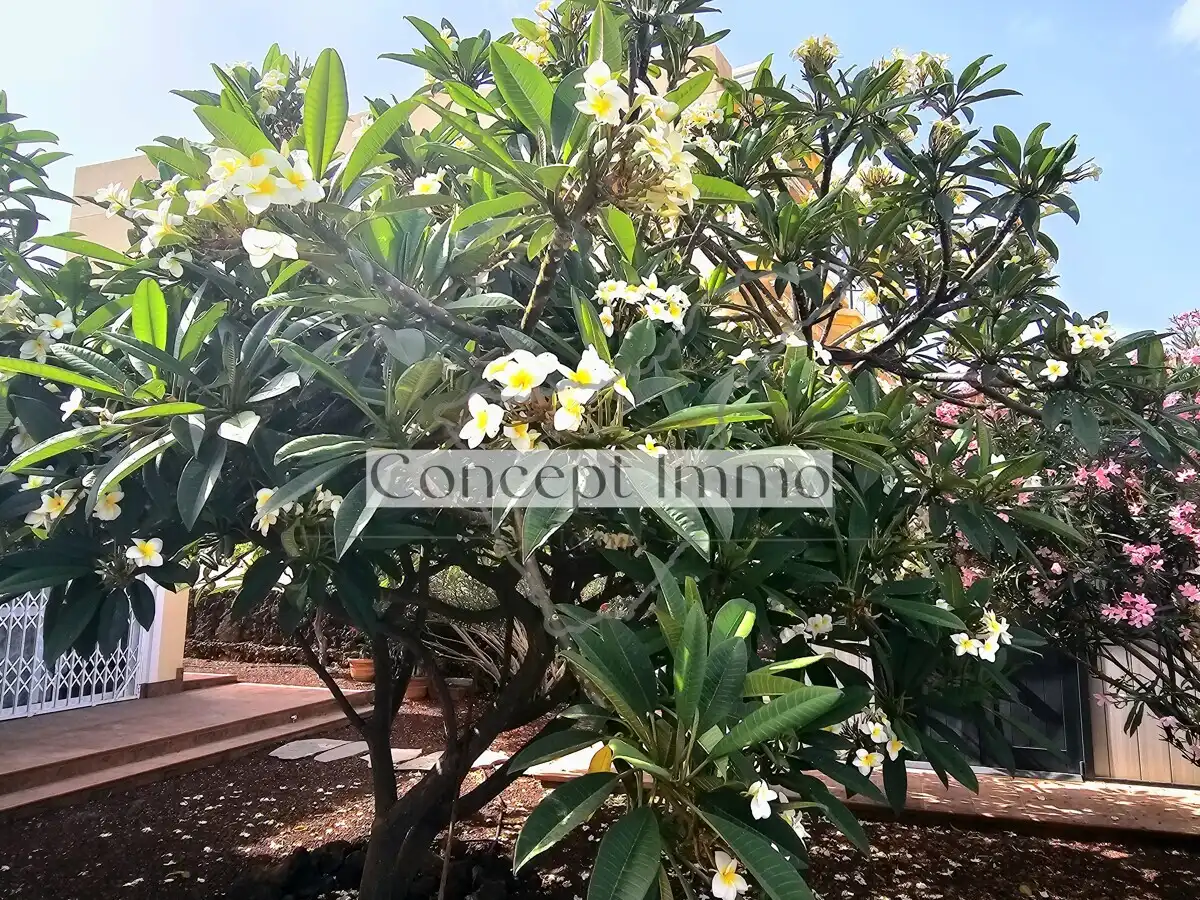 Jardí de Casa o xalet en venda en Arona amb Jardí privat, Terrassa i Traster