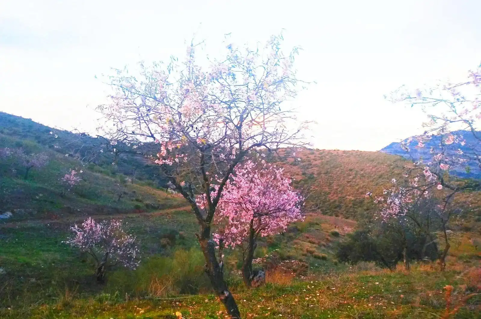 Terreni e lotti in vendita a huerto franco, imagen 54