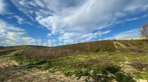 Foto 4 de Residencial en venda a Santiago - Coronación, Jerez de la Frontera