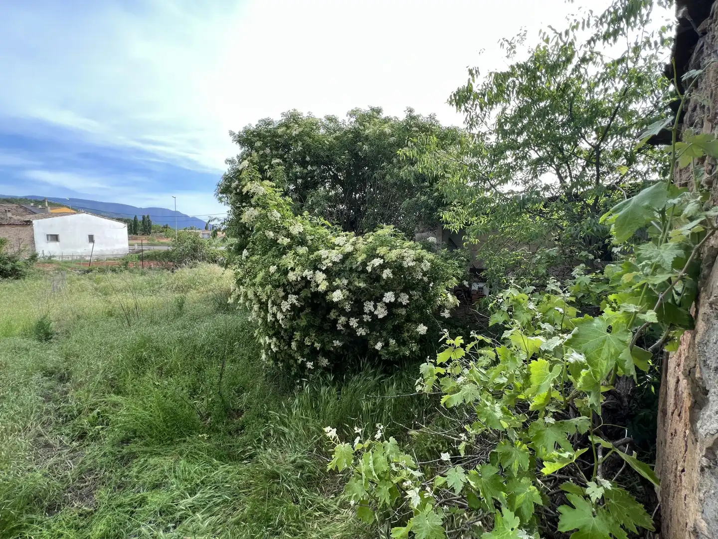 Wohnbaugrundstück zum Verkauf in Mestre Antoni Vicent, imagen 11