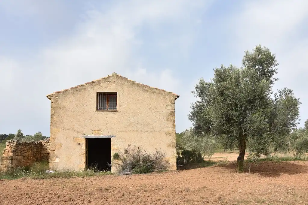 Vista exterior de Terreno en venta en Arens de Lledó