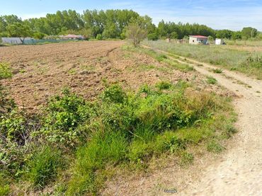 Terrain rustique à vendre à Agoncillo