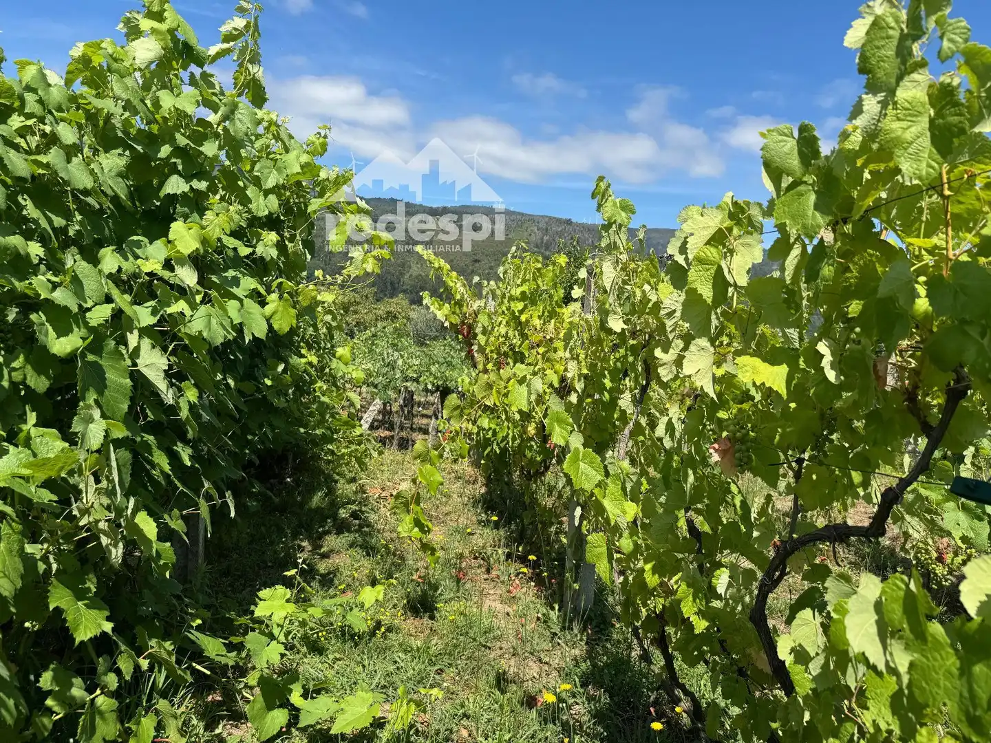 Casa o xalet en venda en Arbo amb Moblat