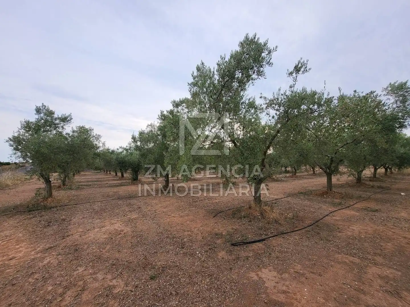 Terreno rústico en venta en Pueblo, imagen 6