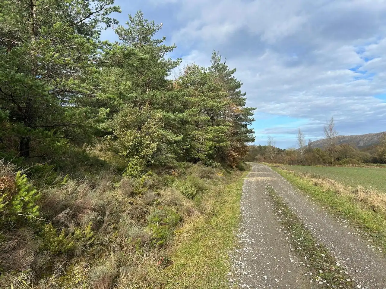 Land for sale in Kuartango