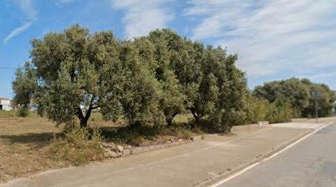 Photo 2 of Industrial buildings for sale in Camí Dels Boverals, 20a, Boverals - Saldonar, Vinaròs