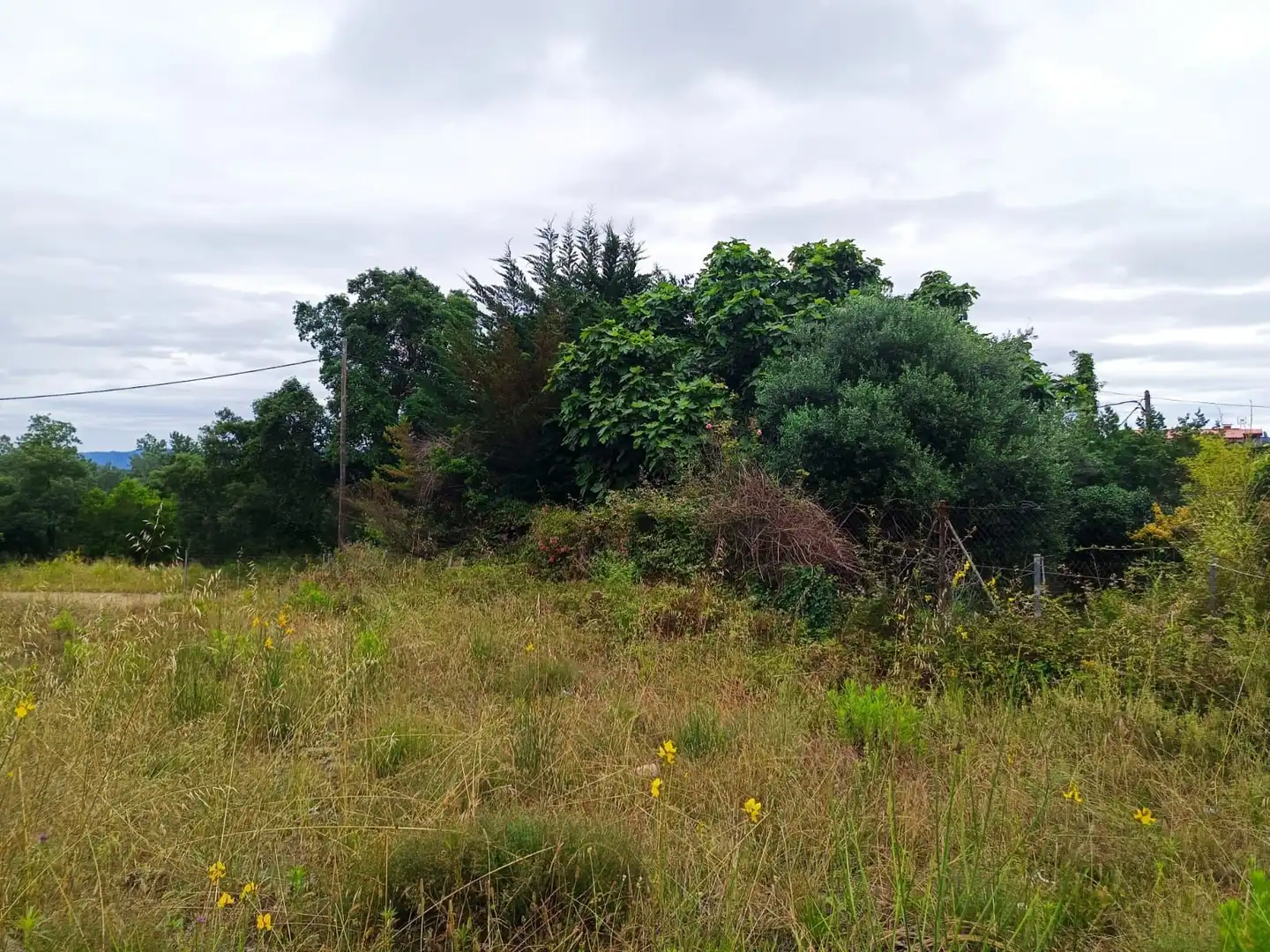 Lands and plots for sale in Llagostera, imagen 9