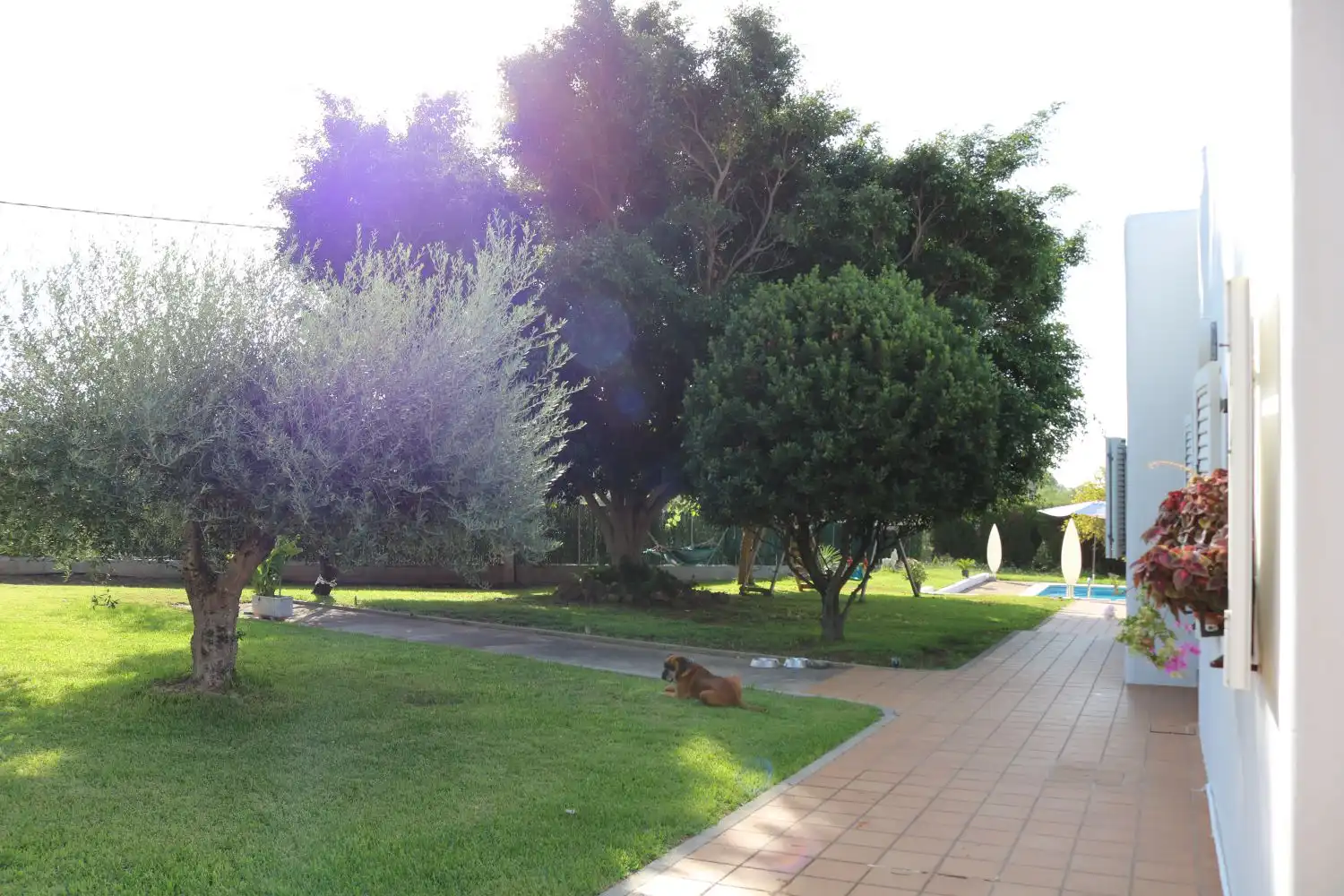 Garden of Houses for sale in Benicasim / Benicàssim  with Terrace and Storage room
