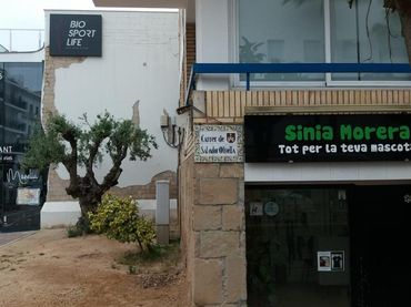 Local commercial à vendre à SALVADOR OLIVELLA