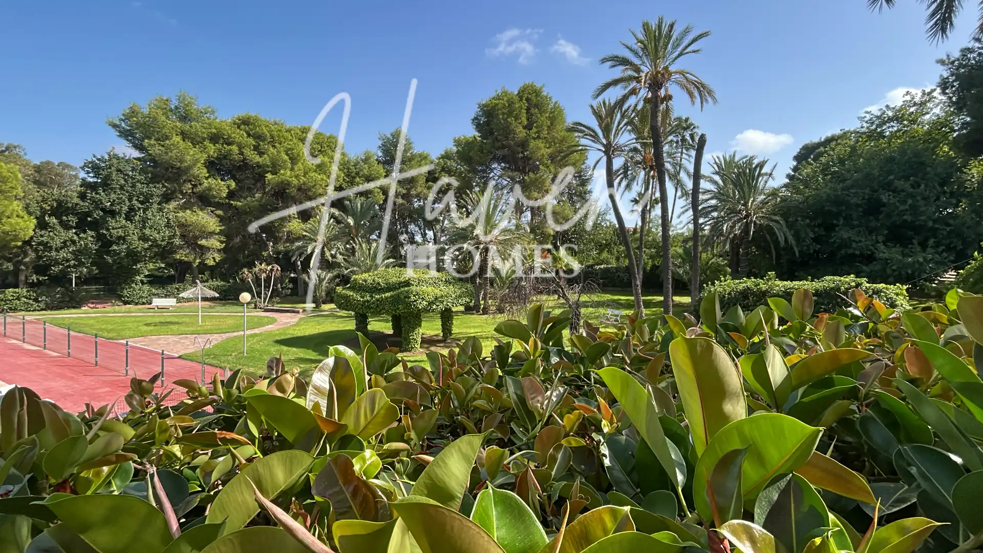 New build Detached house with pool for sale in Calle Teodoro Llorent 6, imagen 14