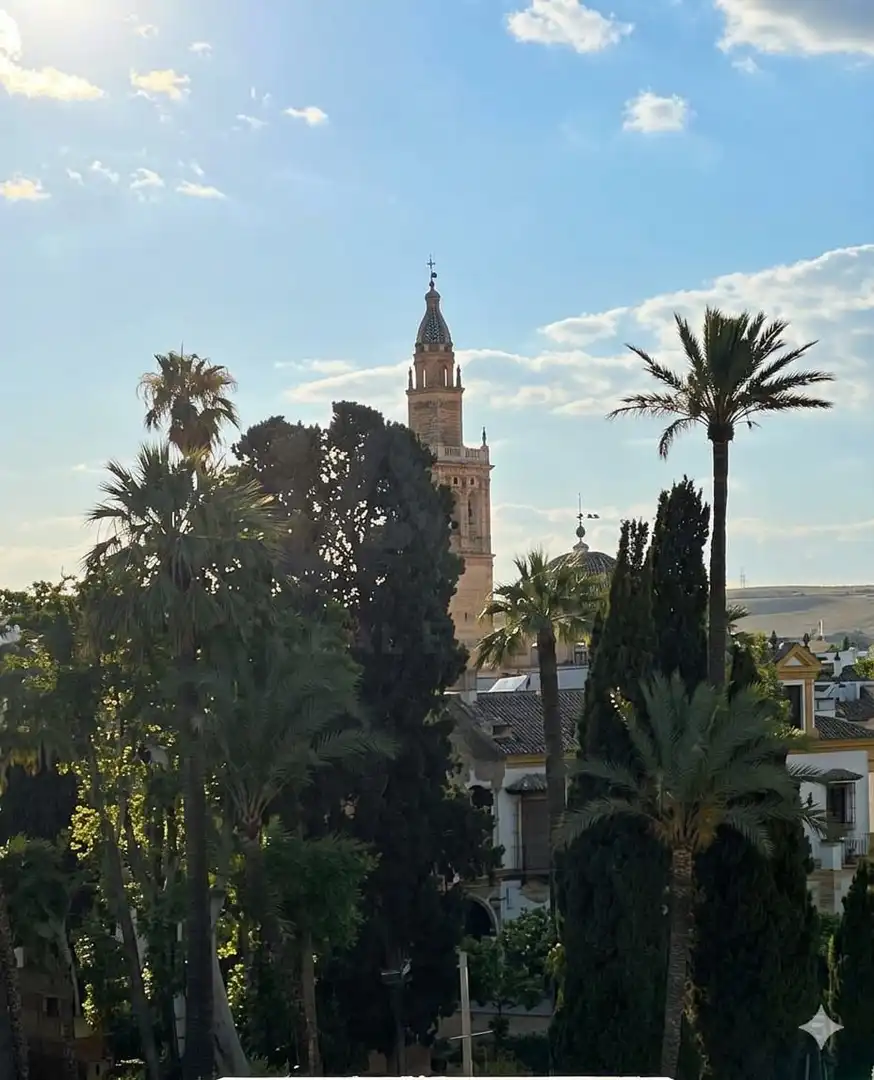 Vista exterior de Pis en venda en Écija amb Aire condicionat i Calefacció