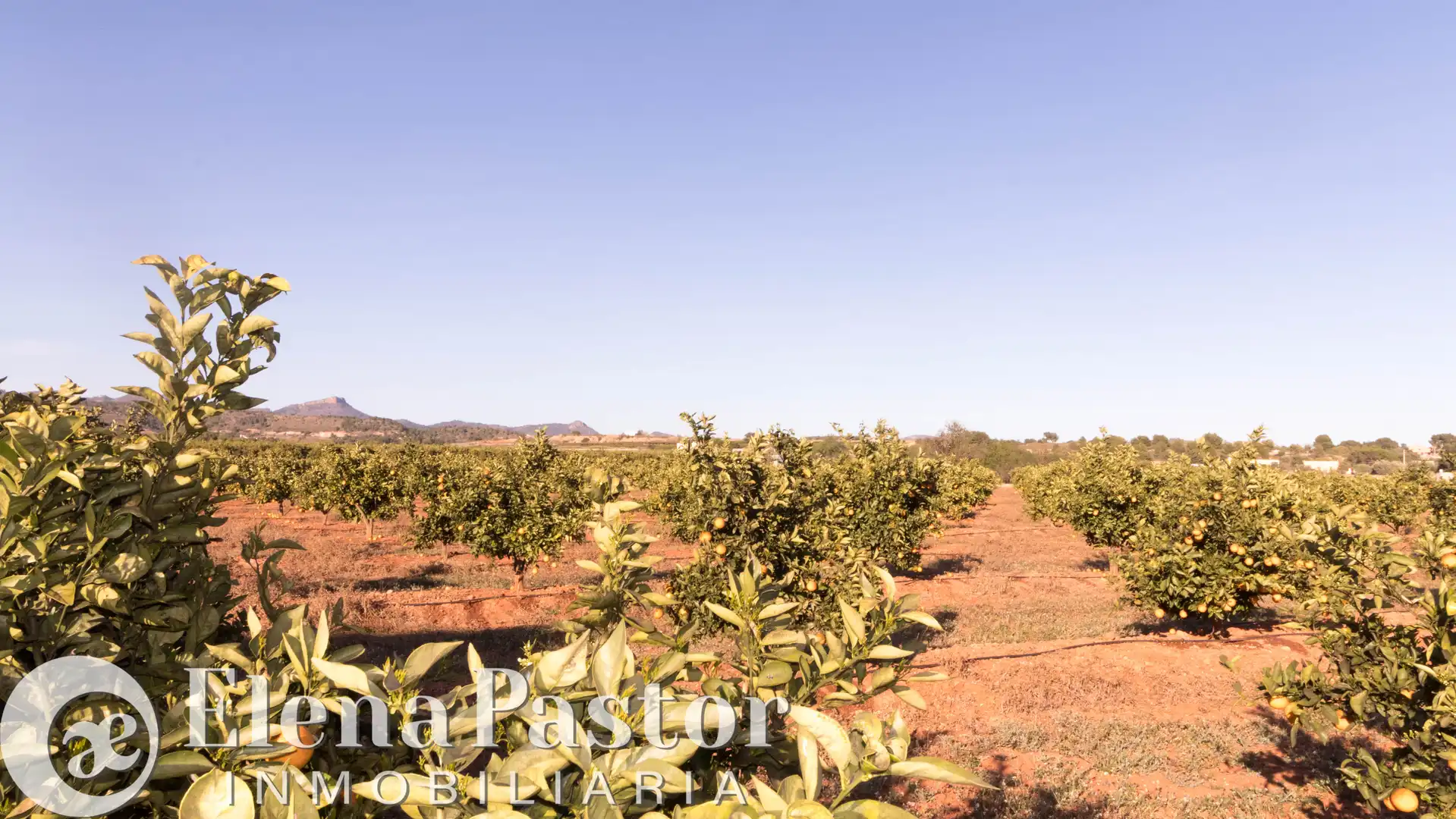 Terreno en venta en Bétera