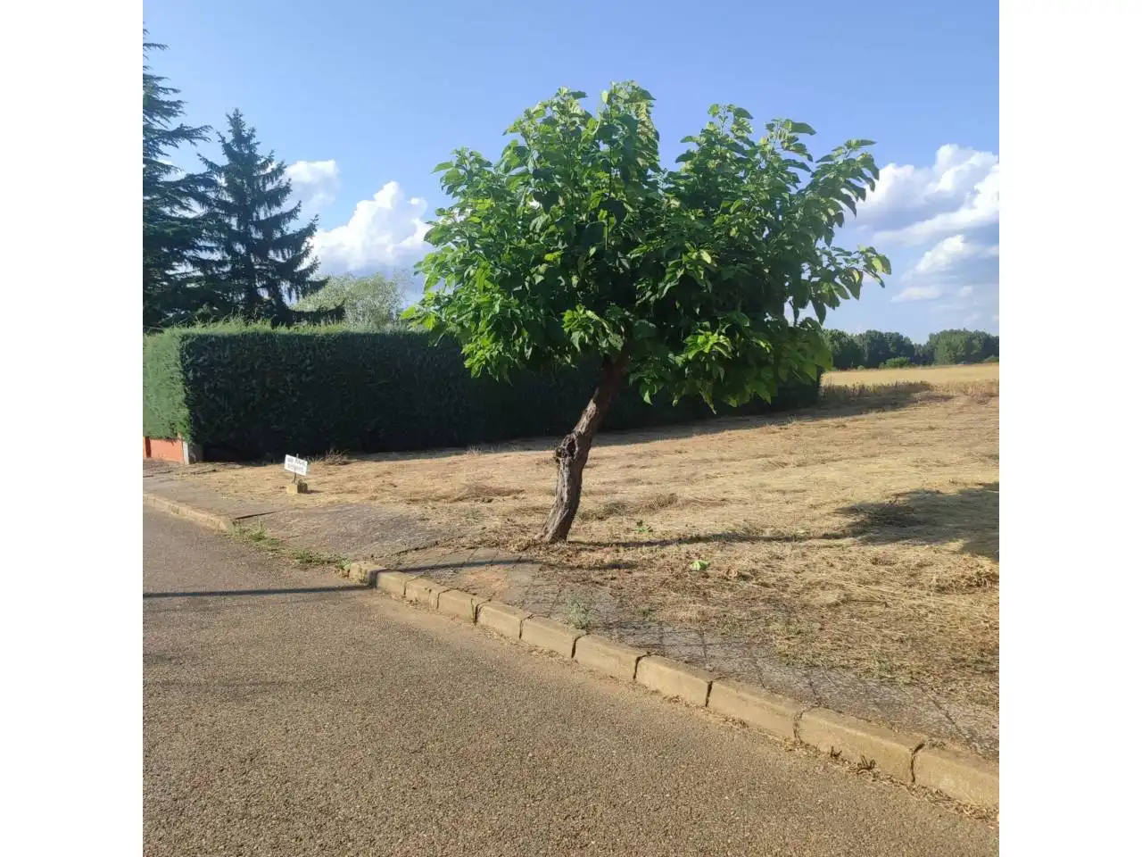 Terreni e lotti in vendita a Llanos, imagen 4