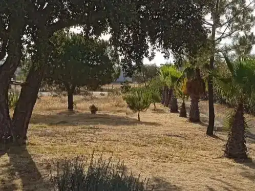 Finca rústica en venda en Lepe