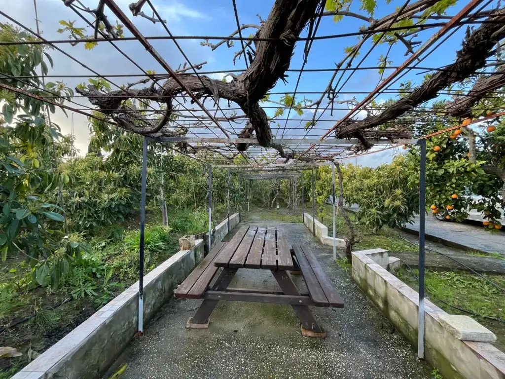 Country house for sale in Jimena de la Frontera, imagen 20