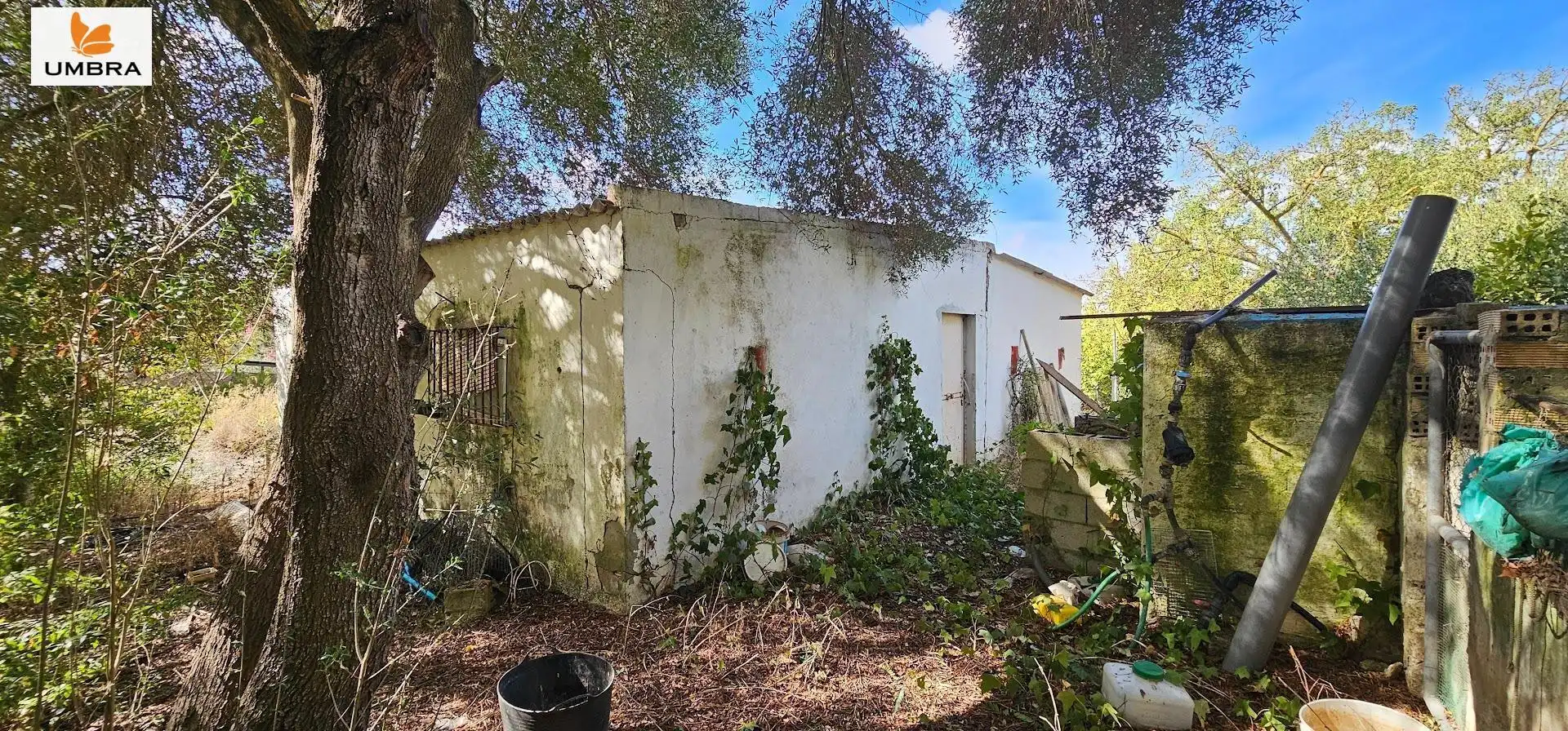 Garden of Houses for sale in Jerez de la Frontera