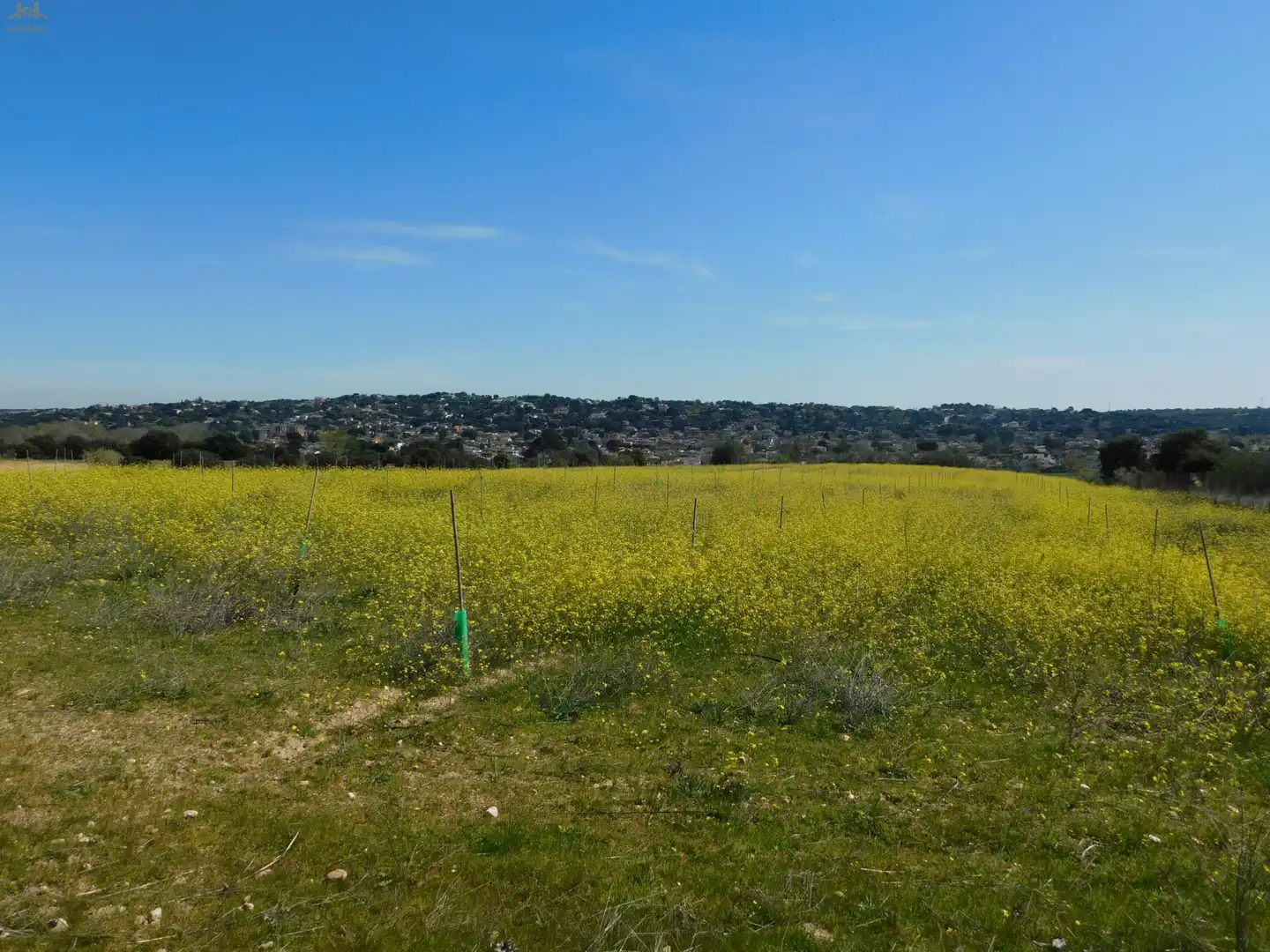 Terreno en venta en Villa del Prado