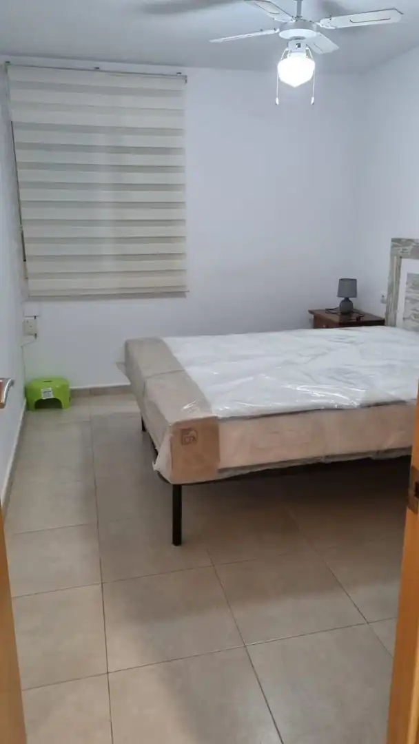 Apartments for rent in Calle MARITIM NEPTU, Playa de Gandia