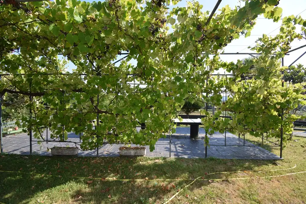 Jardí de Casa o xalet en venda en Pontedeume amb Calefacció, Jardí privat i Moblat