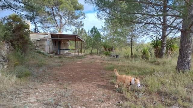 Finca rústica en Venta en Calle de Cazadores, 44I en Viver