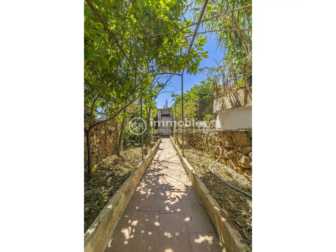 Vista exterior de Casa o chalet en venta en Alaró con Jardín privado y Terraza